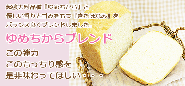 ゆめちから (ブレンド) 1kg / 強力粉 国産小麦 製パン材料 ホームメイドショップKIKUYA